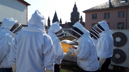 Akteure der Sozialen Stadtimkerei auf dem Dach des Staatstheaters. Hier stehen die Völker, von denen der Honig „Drama Queen“ stammt.
© gpe Akteure der Sozialen Stadtimkerei auf dem Dach des Staatstheaters. Hier stehen die Völker, von denen der Honig „Drama Queen“ stammt.
© gpe
