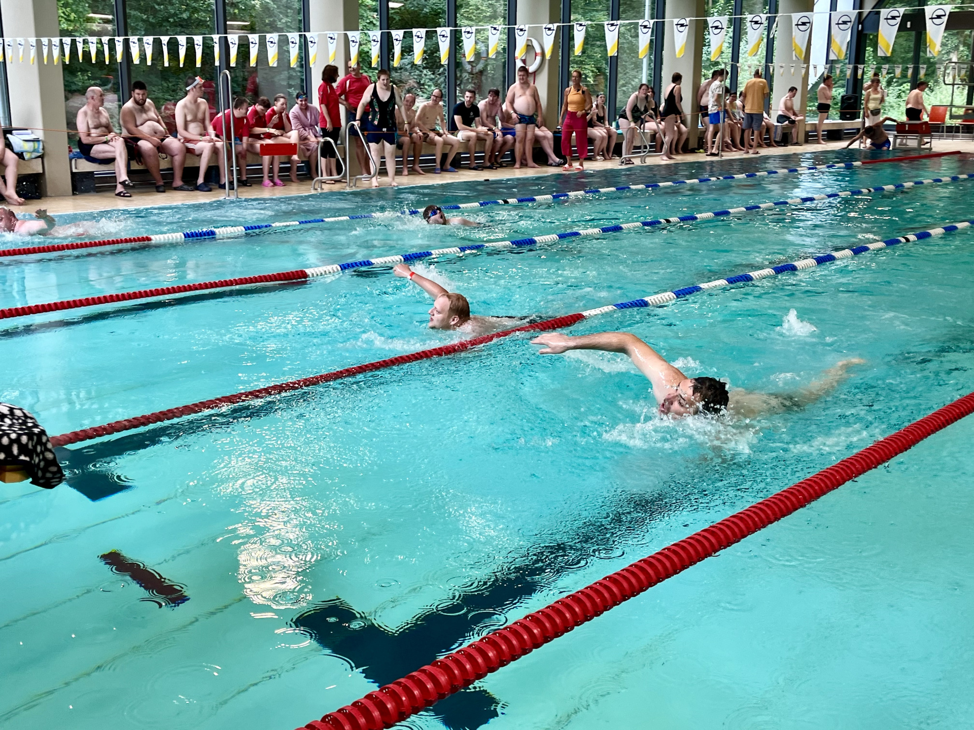 Das LAG-Schwimmfest für Menschen mit Behinderungen fand in Budenheim statt.
© in.betrieb Das LAG-Schwimmfest für Menschen mit Behinderungen fand in Budenheim statt.
© in.betrieb